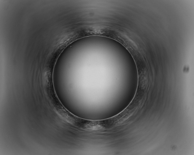 X0000098110747200804041343