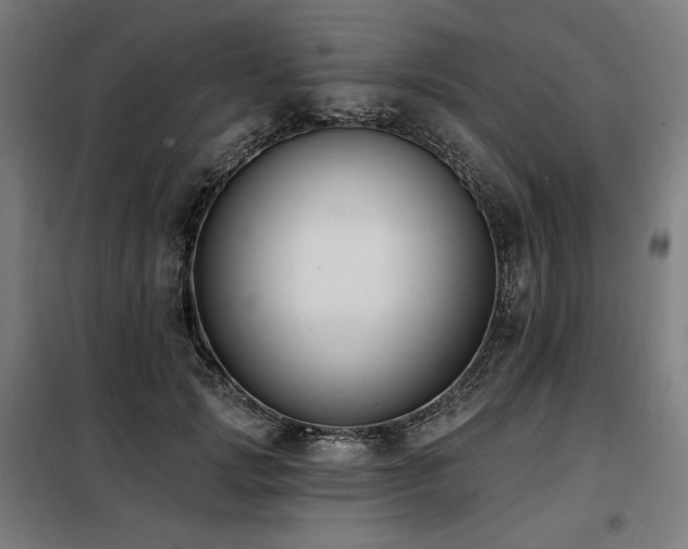 X0000098110749200804041343