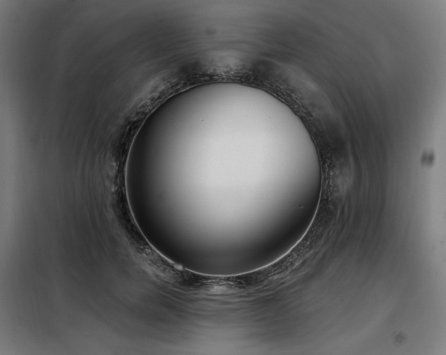 X0000098110750200804041343