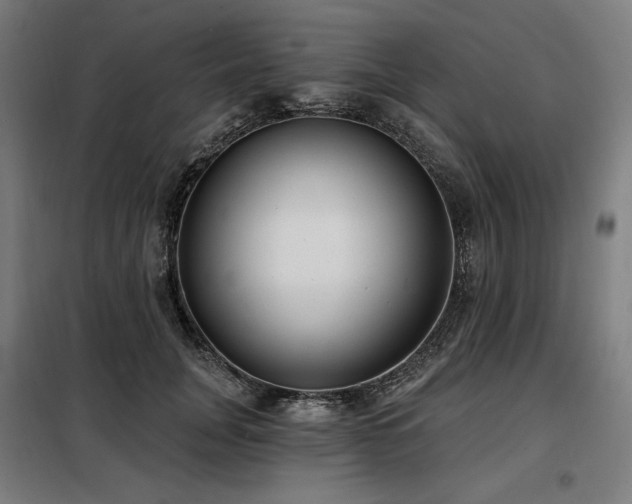 X0000098110751200804041343
