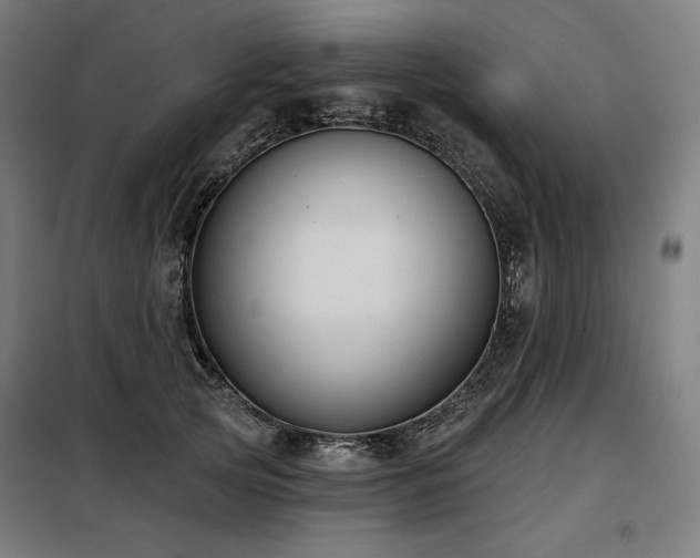 X0000098110753200804041343