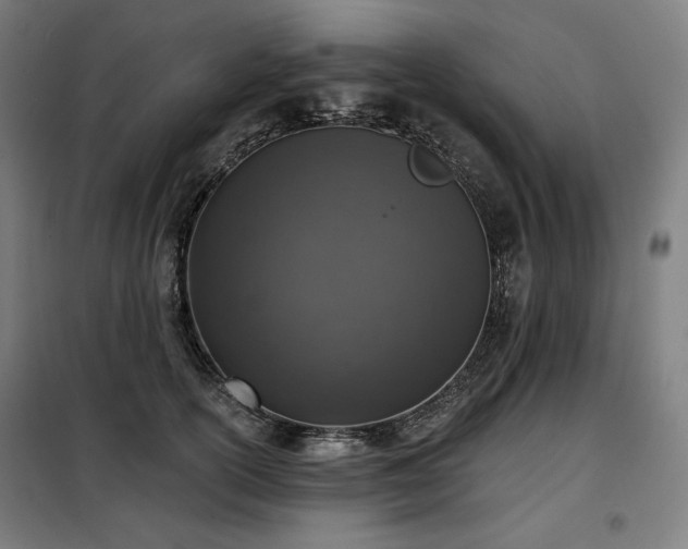 X0000098110754200804041343