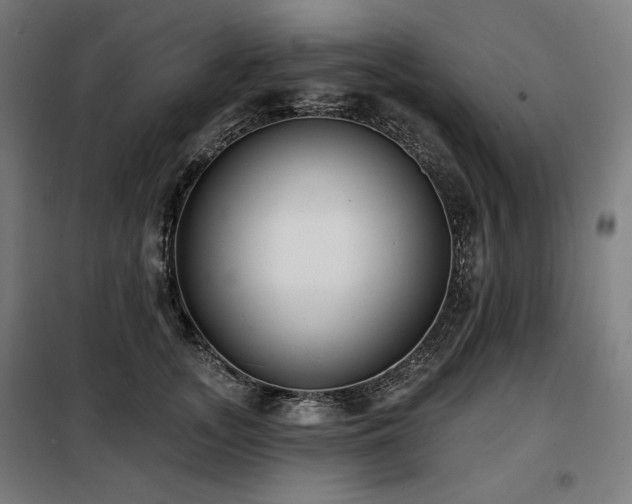 X0000098110755200804041343