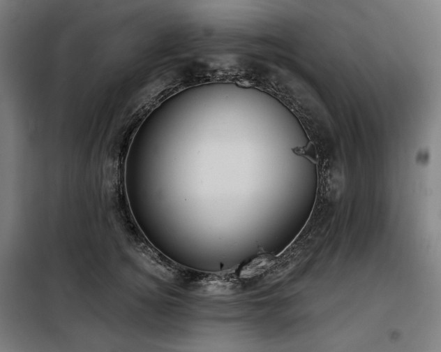 X0000098110756200804041343
