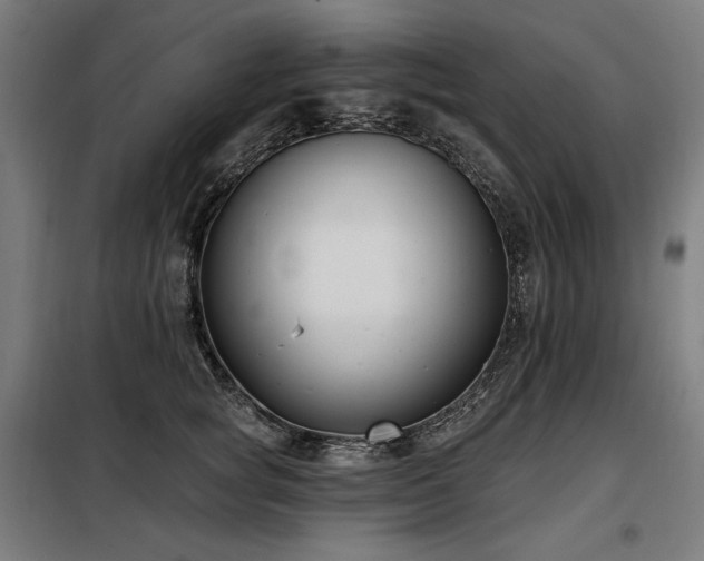X0000098110757200804041344