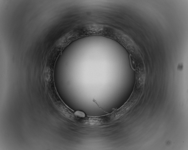 X0000098110758200804041344