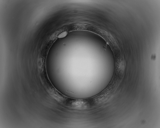 X0000098110759200804041344