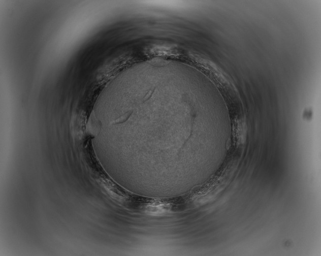 X0000098110760200804041344