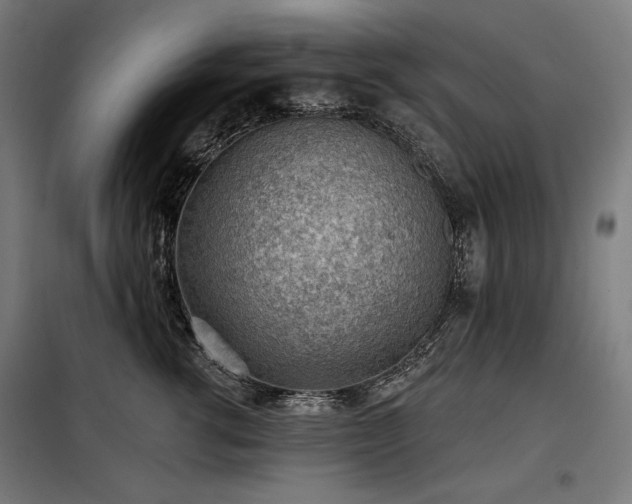 X0000098110762200804041344