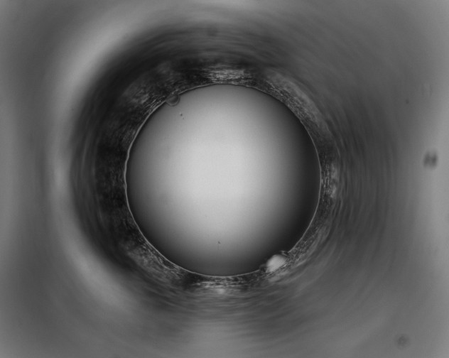 X0000098110763200804041344