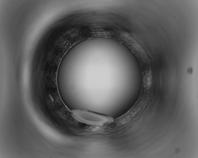 X0000098110764200804041344