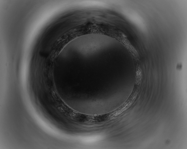 X0000098110765200804041344