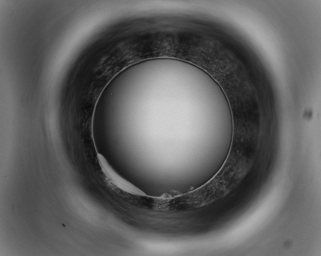 X0000098110766200804041344