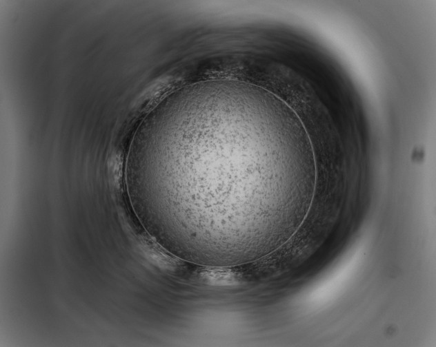 X0000098110767200804041344
