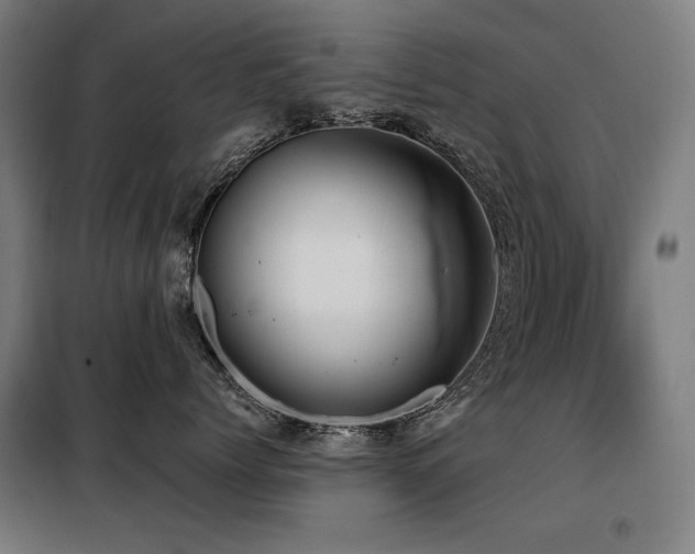 X0000098110768200804041344