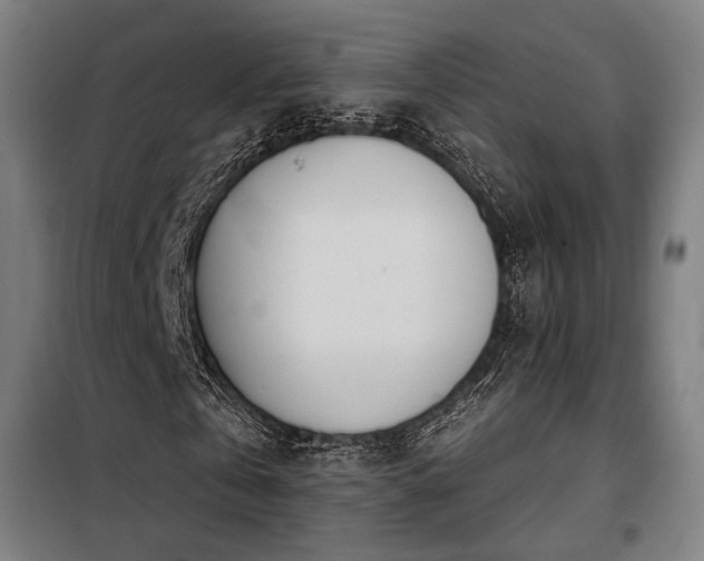X0000098110769200804041343