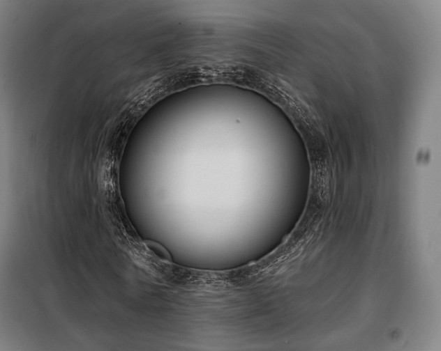 X0000098110770200804041343