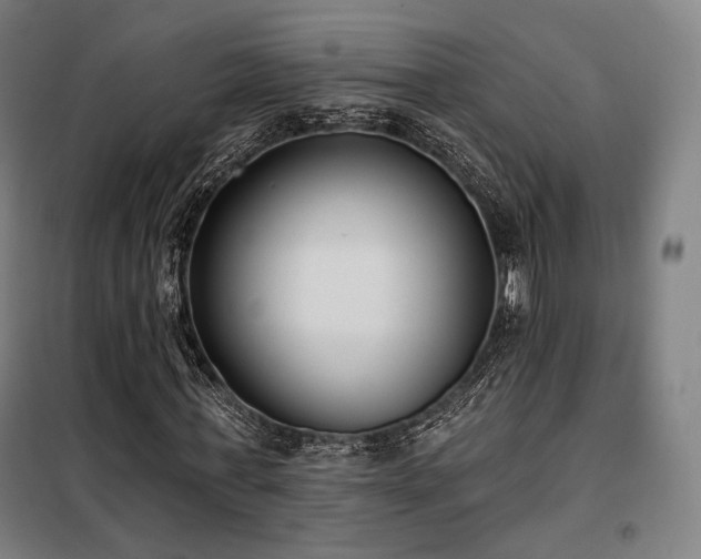 X0000098110771200804041343