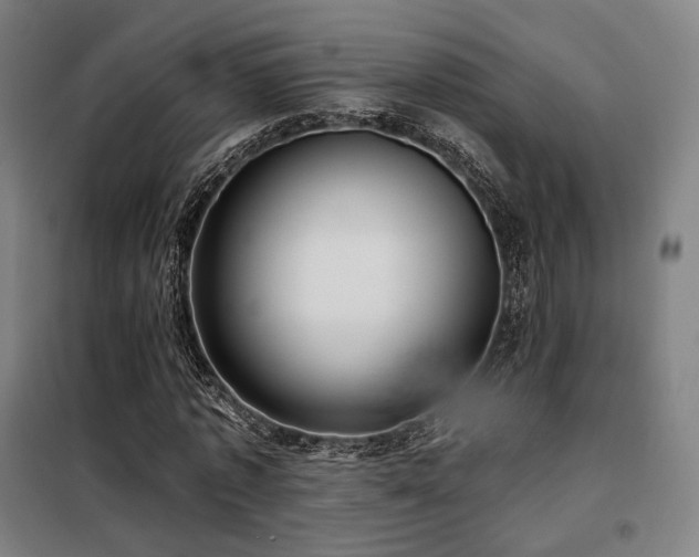 X0000098110773200804041343