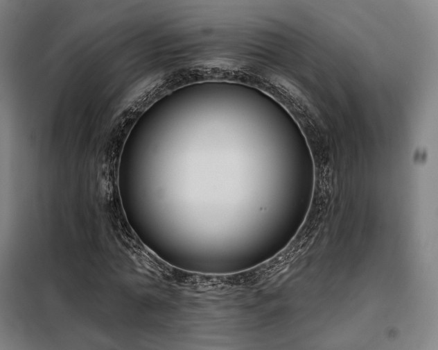 X0000098110774200804041343
