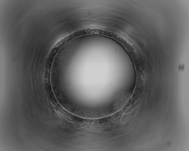 X0000098110775200804041343