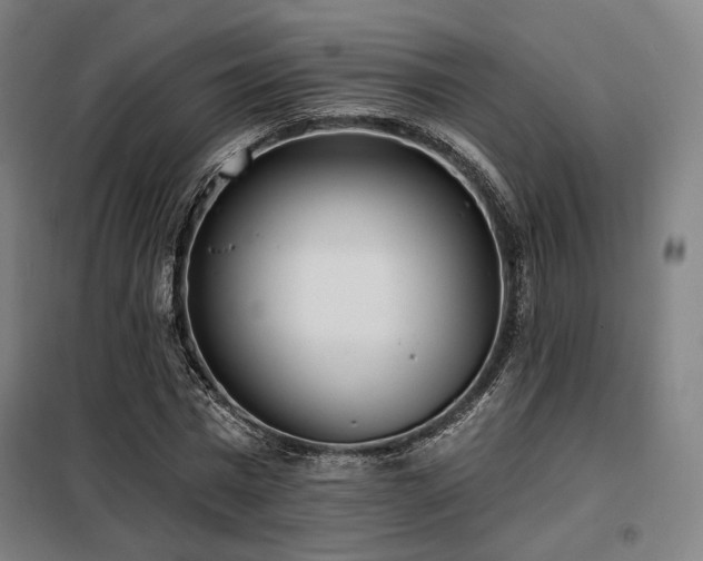 X0000098110777200804041343