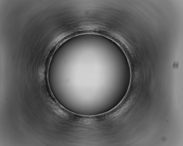 X0000098110778200804041343