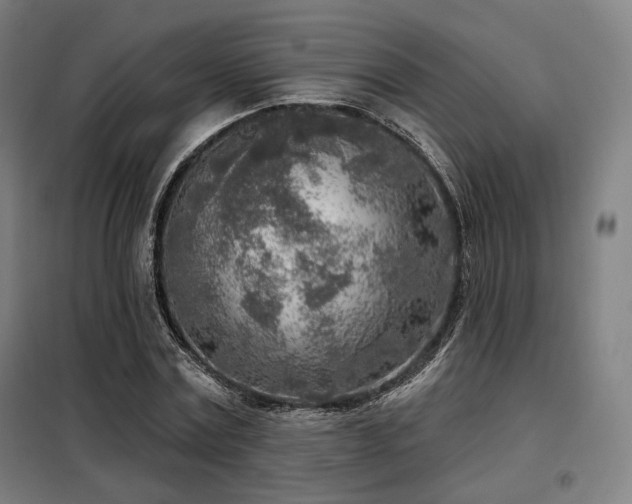 X0000098110779200804041343