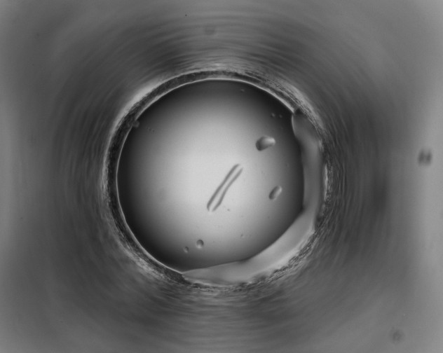 X0000098110780200804041343