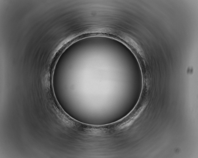 X0000098110781200804041343