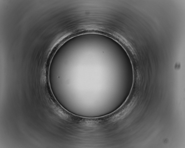X0000098110782200804041343