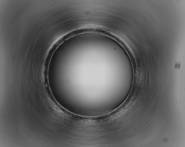 X0000098110783200804041343