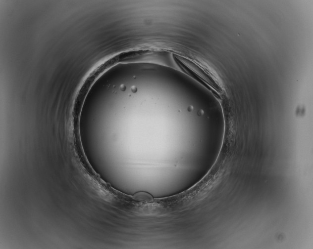 X0000098110784200804041343