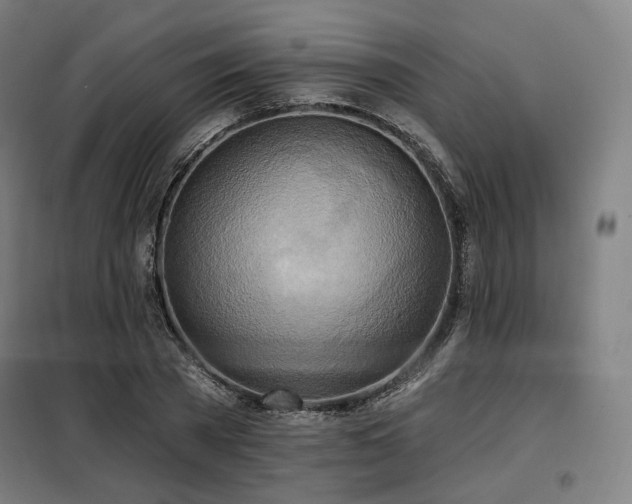 X0000098110785200804041343