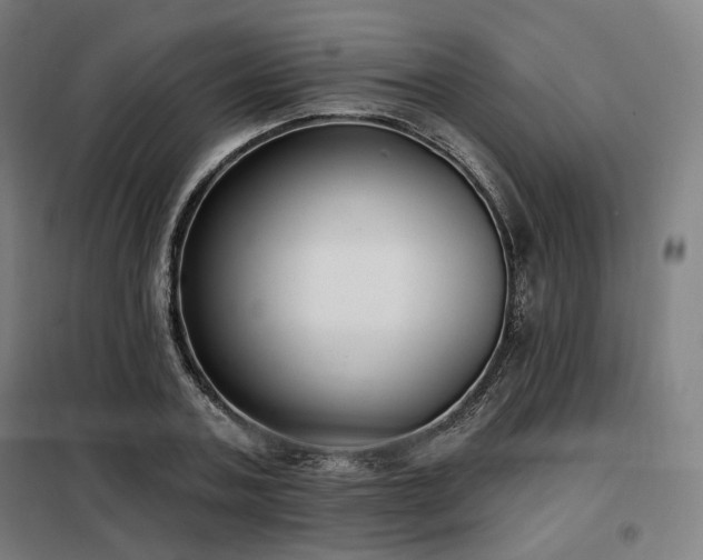 X0000098110787200804041343
