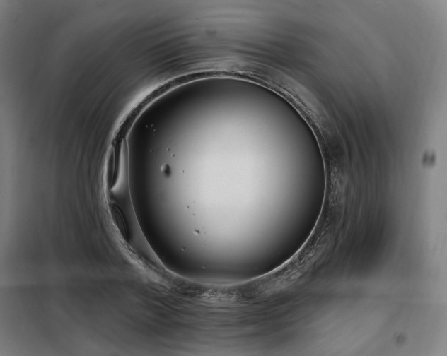 X0000098110788200804041343
