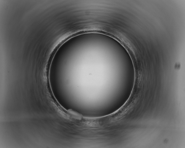 X0000098110789200804041343