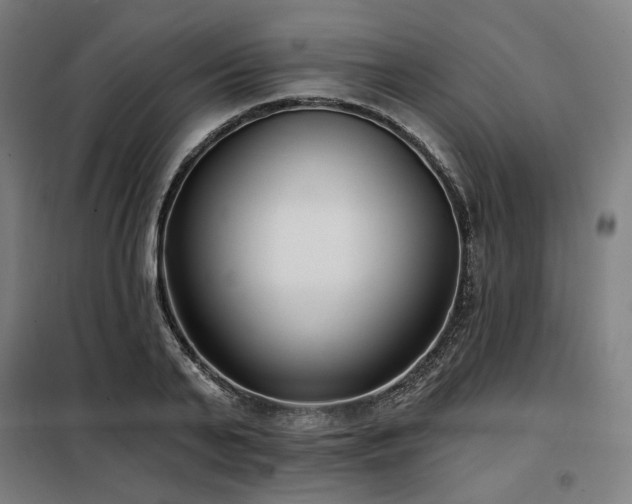 X0000098110791200804041343