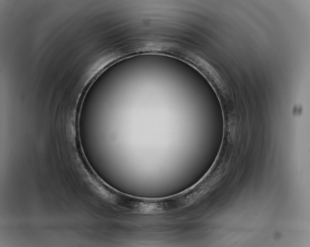 X0000098110794200804041342