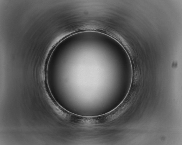 X0000098110795200804041342