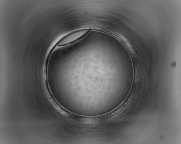 X0000098110796200804041342