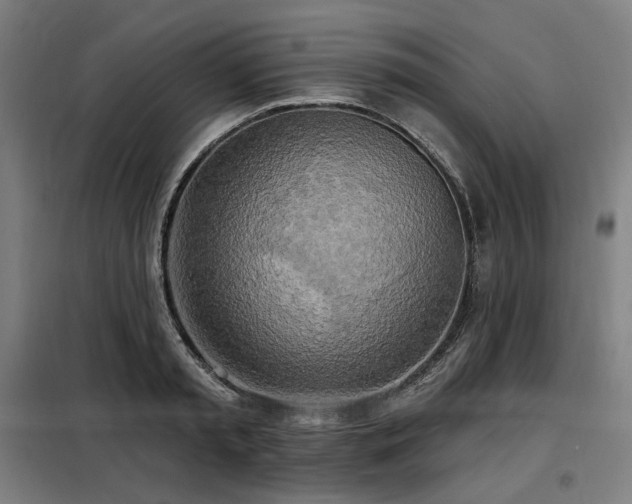 X0000098110797200804041342