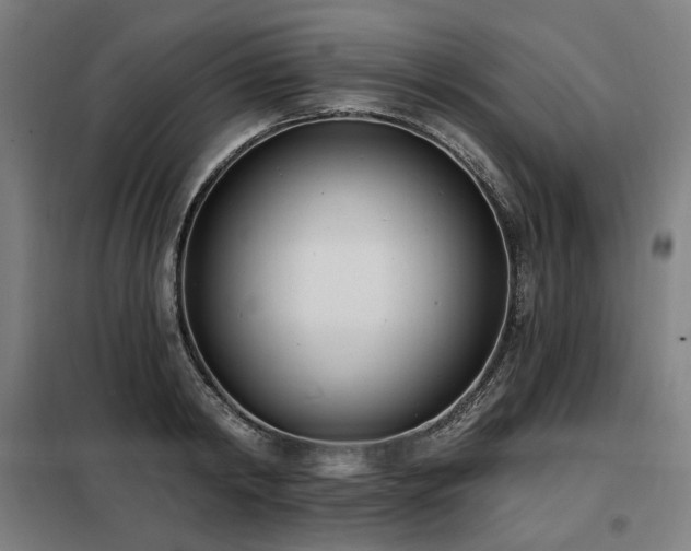 X0000098110798200804041342