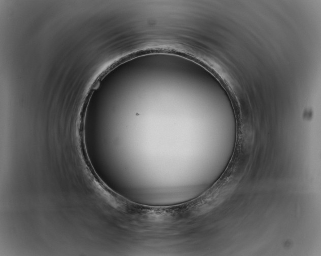 X0000098110799200804041342