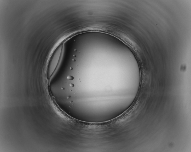 X0000098110800200804041342