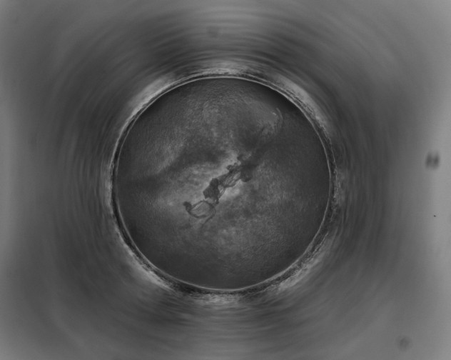 X0000098110802200804041342