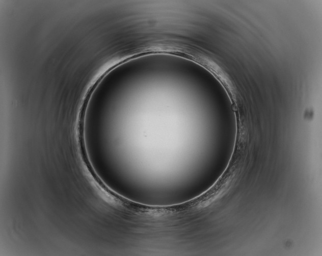 X0000098110803200804041342