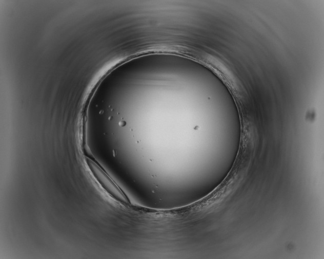X0000098110804200804041342