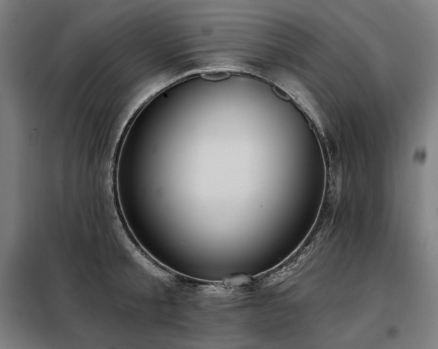 X0000098110805200804041342
