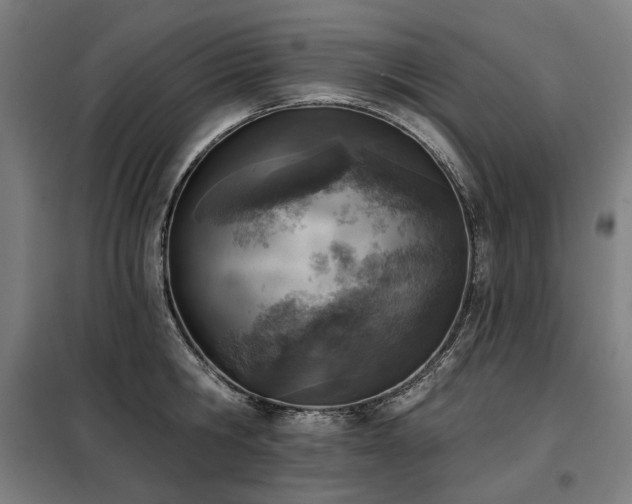 X0000098110806200804041342